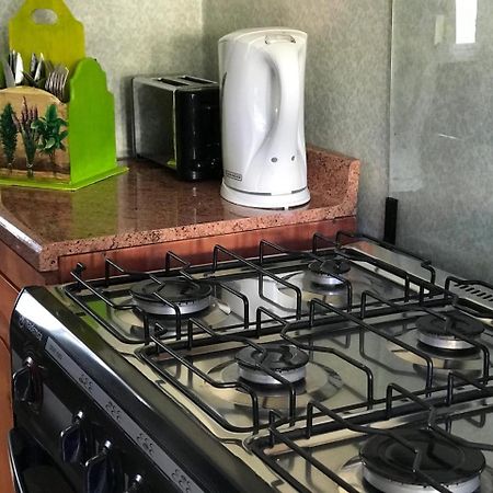 Las Dalias Pucón Esterno foto